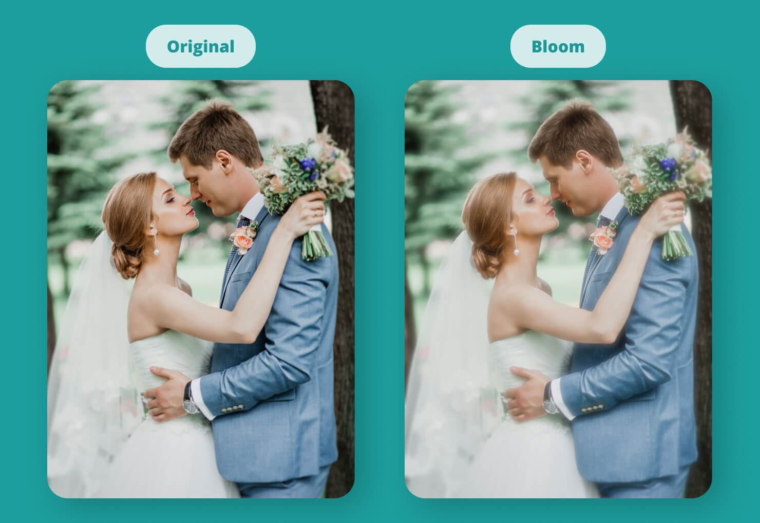 A wedding photo enhanced with the Bloom filter.