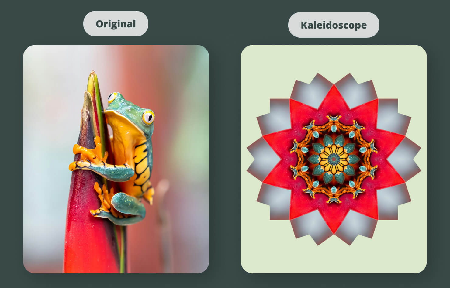 A photograph turned into a complex, symmetrical background pattern using the Kaleidoscope tile filter.