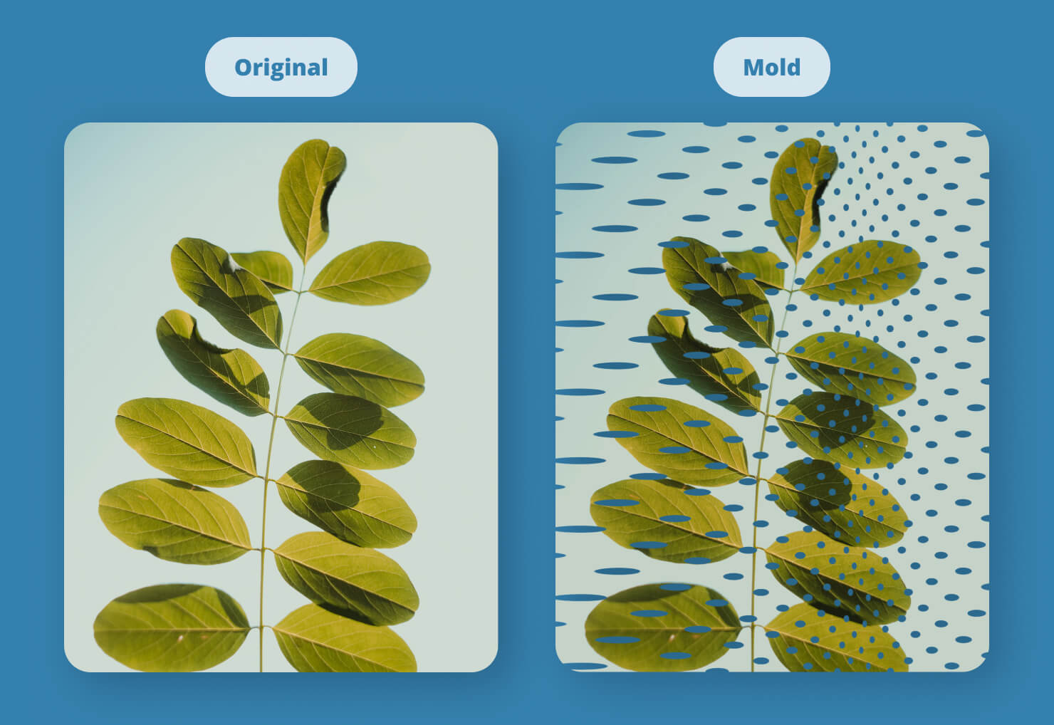 An Image featuring geometric backgrounds and split effects created by overlap tools like Mod Transition and Mold.