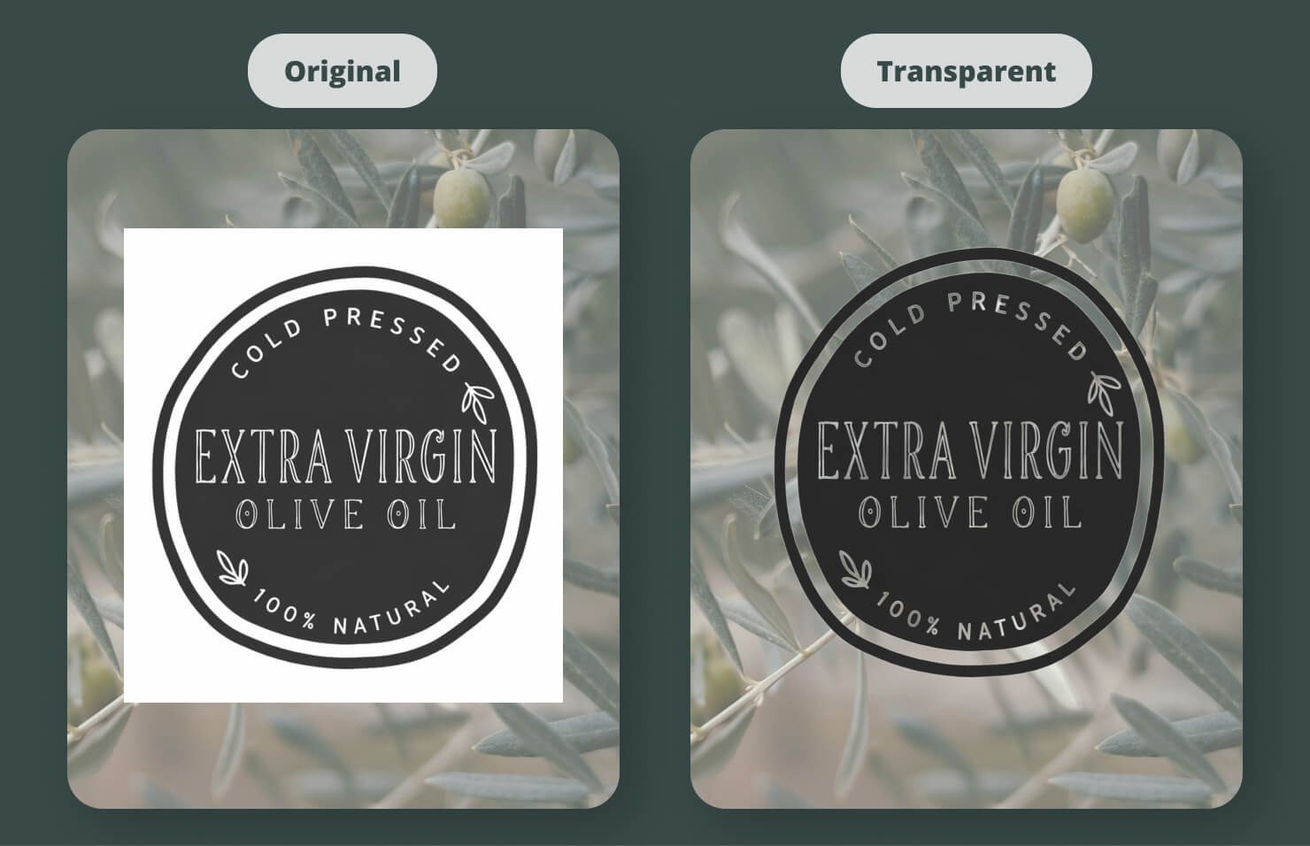 A logo with a white background on a dark textured layout, shown before and after the Transparent Color filter.