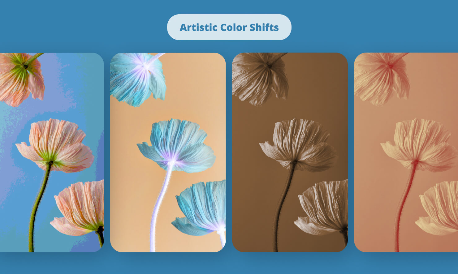 A collage of a single image processed with various artistic effects including Color Posterize, Color Invert, False Color, and Color Monochrome.