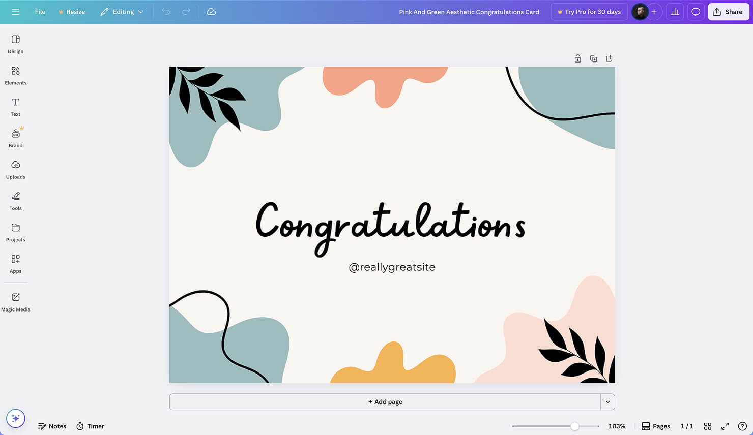 Canva interface.