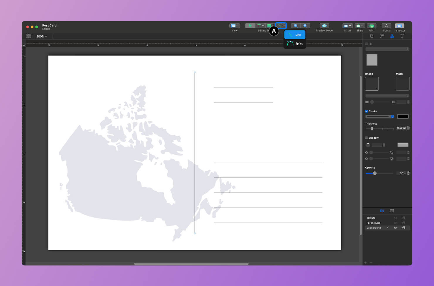 Drawing horizontal lines using the Line Tool for the address section.