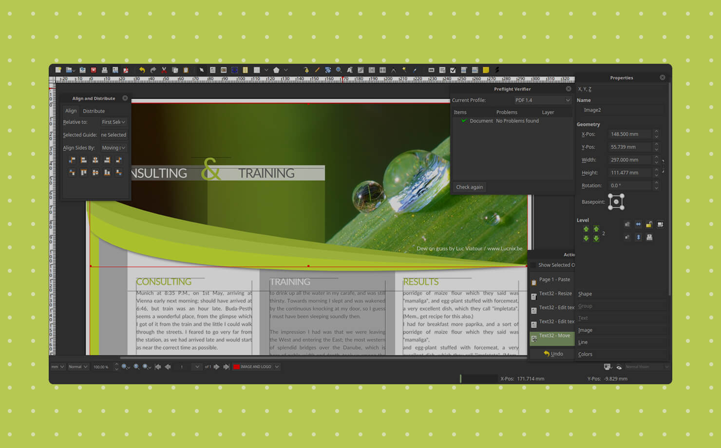 Professional Scribus layout for a Consulting & Training brochure featuring the Preflight Verifier window used for error checking before printing.