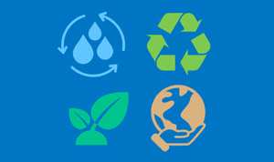 Article preview with four different images which represent what is being environmentally friendly.