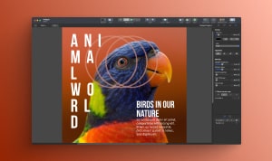 Top Desktop Publishing Software for Mac article preview with Swift Publisher screenshot.