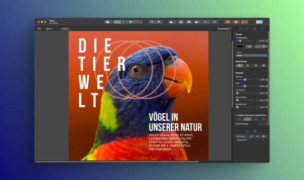 Vorschau des Artikels mit der besten Desktop-Publishing-Software für den Mac mit einem Bildschirmfoto von Swift Publisher.