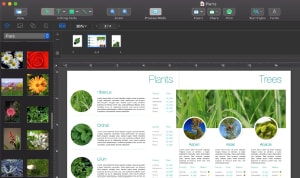 Top 5 DTP software list article preview.