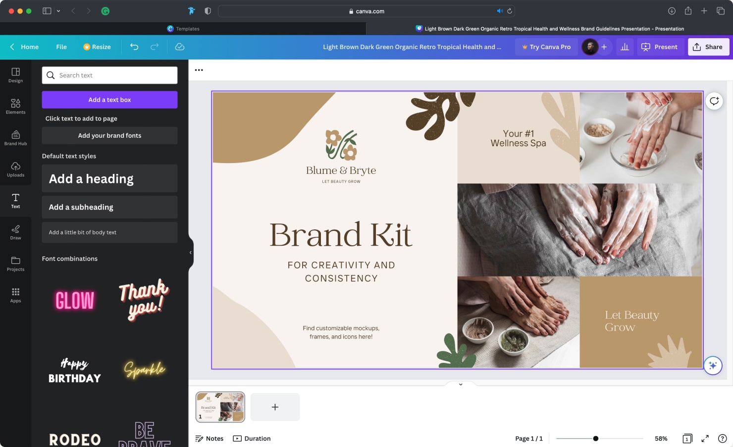 Canva interface screenshot.