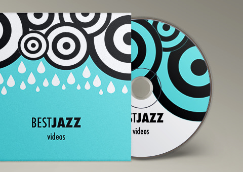 Preview image for Working with Discs