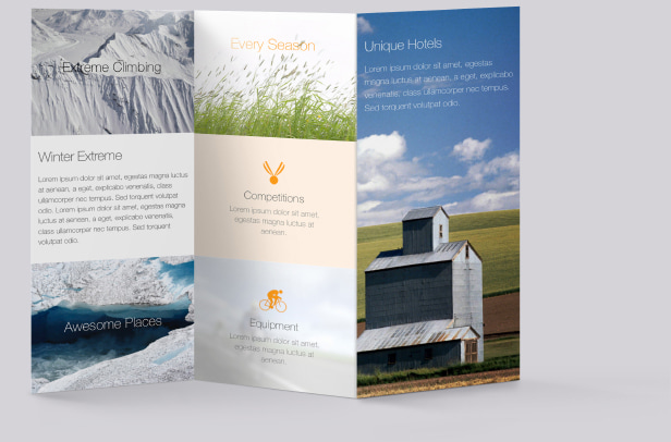 Tri-fold brochure