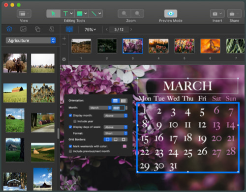 Next year calendar created in Swift Publisher for Mac